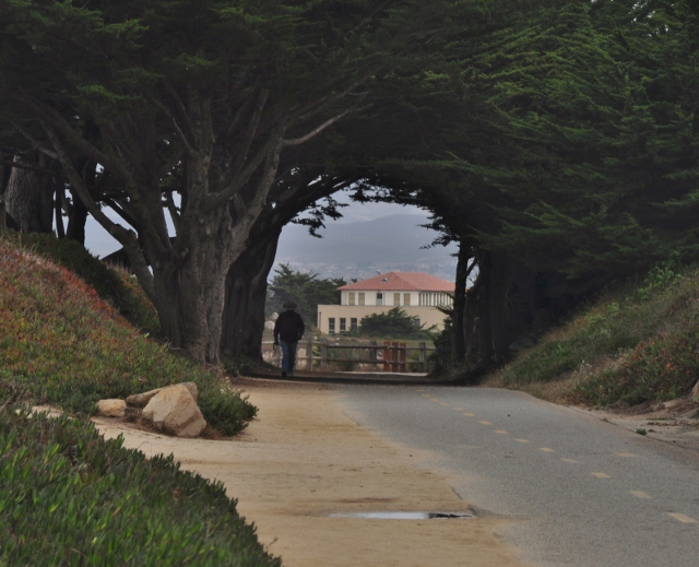 Pacific Grove